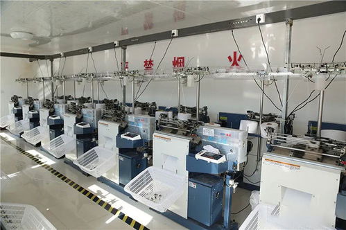 烏審旗嘎查村集體經濟 多元住宿服務百花齊放