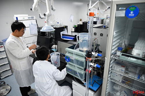 推進創新藥物研發,這家成都企業獲3億元c輪融資