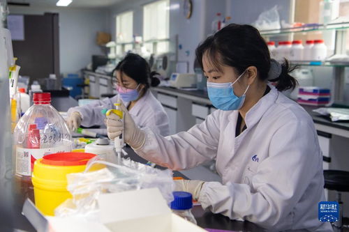 新華全媒 老工業區里的新興力量