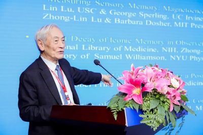 第三腦、未來工廠、數據中臺…海內外AI創新力量對接下城產業