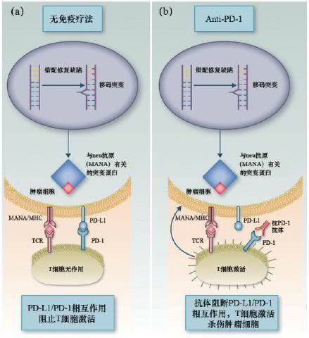 生物技術藥物發(fā)展迅猛,突破性療法認證推動藥物創(chuàng)新 2017 年新藥研發(fā)熱點回眸