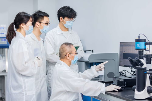 能精準獵殺癌細胞 武漢企業(yè)最新成果公布 武漢市人民政府門戶網(wǎng)站