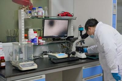 “以生物造萬物”風口之下合成生物產業化提速