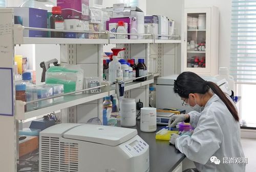 近10個新藥預計陸續上市,煙臺這家藥企有點牛