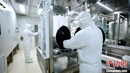 沈陽打造國際生物醫藥人才港 為千億級產業集群提供核心智力支撐