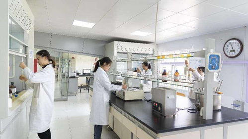齊魯股交企業培育的 苗圃 作用,助力企業發展