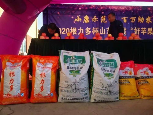 根力多 走中國 誰是蘋果王 2020根力多杯山東棲霞 好蘋果 爭霸賽巔峰對決火熱來襲