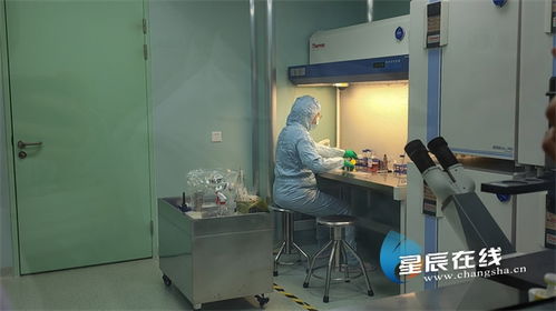 聚焦雙五工程 直擊項目一線 長沙這些項目你了解幾個