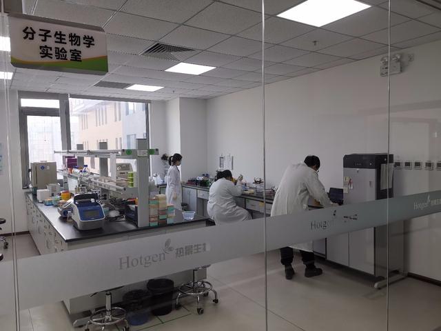 研發(fā)三款針檢測(cè)試劑盒 大興生物醫(yī)藥基地50家企業(yè)復(fù)工