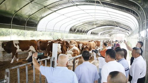 速來了解 這家公司研發的新型技術可以實現無排放 無污染 無臭氣的效果