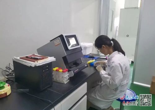康可得生物科技 深耕技術研發 創新步履不停