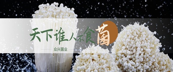 眾興菌業主要業務