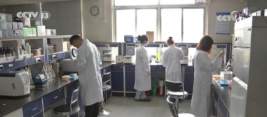 突破技術封鎖 “鏈主”引領產業鏈協同創新 助推“國產替代”加速度