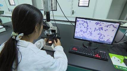 濰坊青州:強化產品研發 加速形成新質生產力