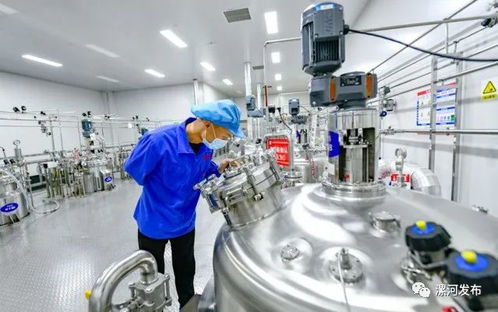 這兩天,央媒 省媒紛紛關注漯河這件事