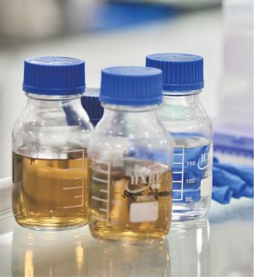 酵母生物技術