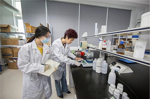 代加工看這里 歡迎來撩 海智生物您的oem貼牌首選