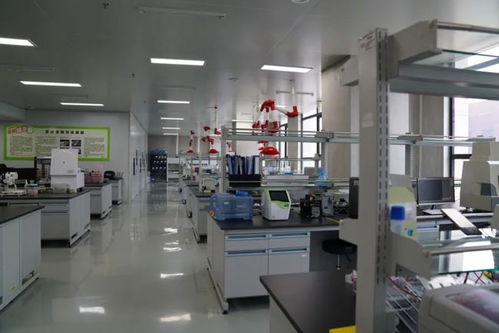 首發丨動植物分子育種技術研發商 博瑞迪生物 宣布完成千萬級a輪融資
