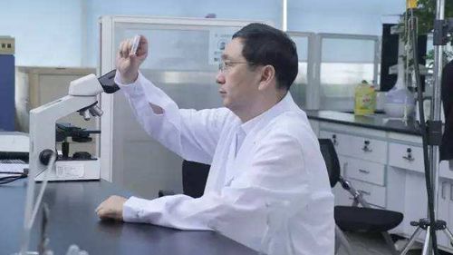 36氪首發 突破全分子量玻尿酸gaussian ha研發, 梅曄生物 獲數億元b輪融資