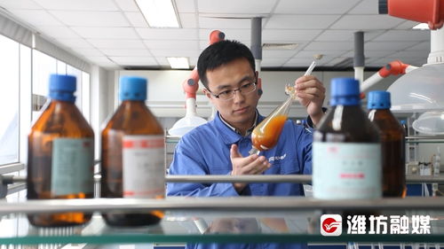 穩(wěn)扎穩(wěn)打有干頭 濰坊高新區(qū) 政府主動牽線 企業(yè)發(fā)展不愁
